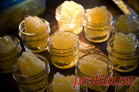 (493) Pinterest: инструмент для поиска и хранения интересных идей