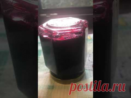 Живая черная смородина на зиму  Лучшая заготовка смородины