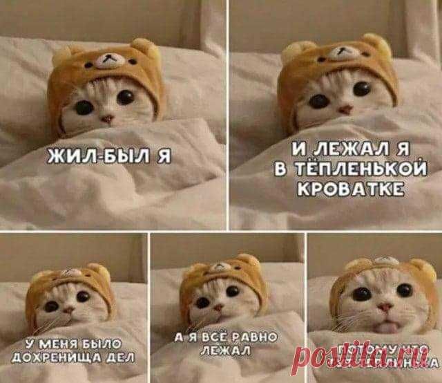 Доброутречка)))))