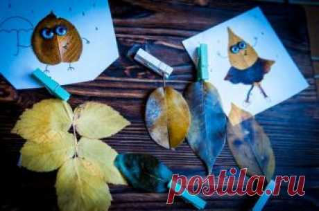 Варим листья в глицерине. | Живые вещи | Яндекс Дзен