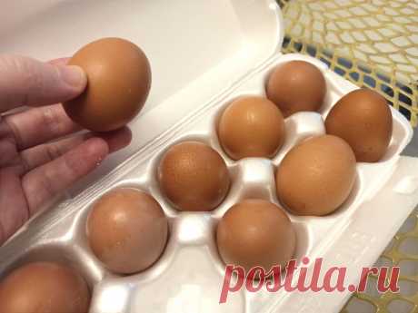 Они что, золотые? Почему подорожали куриные яйца? Мой рейд по магазинам Хлеб, молоко, сахар, гречка и другие продукты дорожают. Не укупишь рыбу, икру. Даже на Новый год вряд ли куплю такие деликатесы. Хотя,...