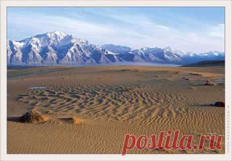 Чарские пески — пустыня среди ледников в Забайкалье - Путешествуем вместе