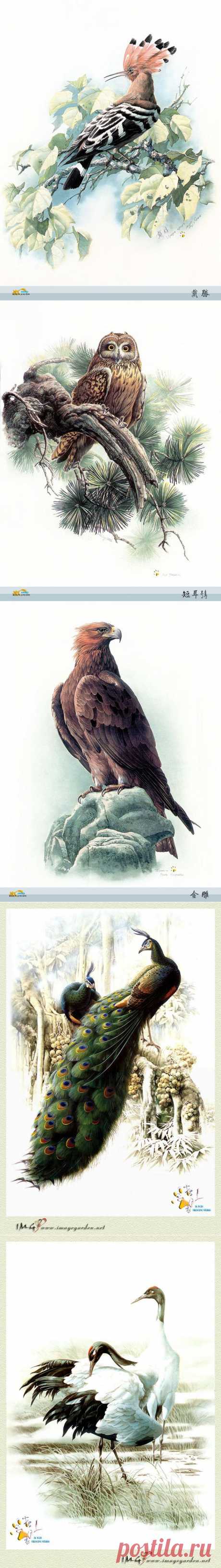 Birds, birds and birds | The Funny Web

Художник Зенг Ксяо Лянг (Zeng Xiao Lian) родился в 1939 году в Провинции Юньнань, Китай. Работал старшим инженером Ботанического Исследовательского института Академии наук Китая.

51 иллюстрация в хорошем качестве.