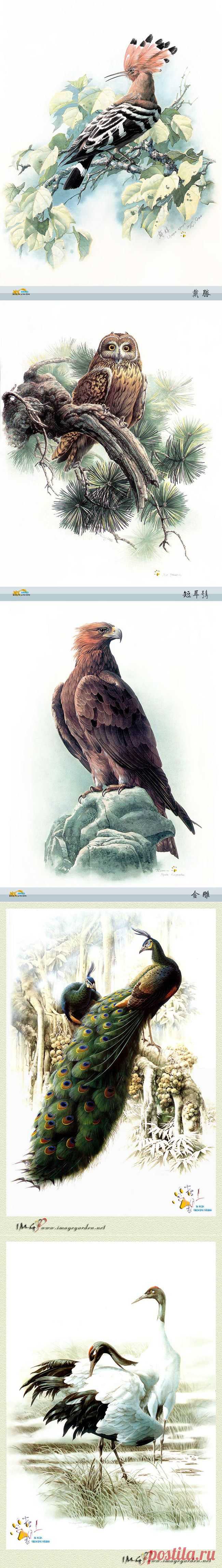 Birds, birds and birds | The Funny Web

Художник Зенг Ксяо Лянг (Zeng Xiao Lian) родился в 1939 году в Провинции Юньнань, Китай. Работал старшим инженером Ботанического Исследовательского института Академии наук Китая.

51 иллюстрация в хорошем качестве.