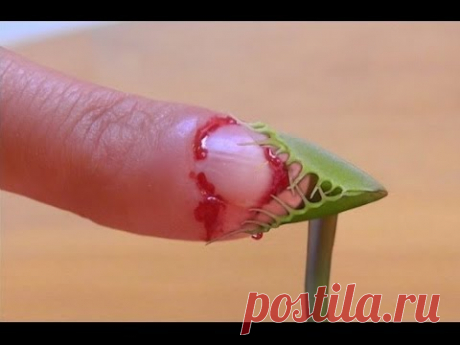 РАСТЕНИЯ, которые ЕДЯТ ЖИВОТНЫХ!!!