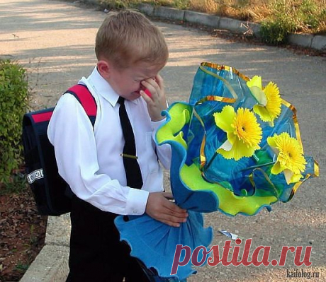 Орехи.ТВ - Категория «Красивые фотографии»