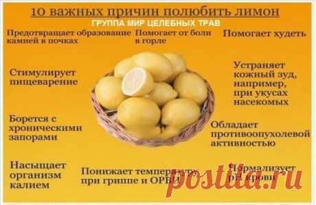 Лечение лимоном! Проверенные рецепты.