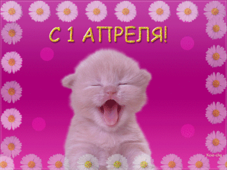 Смеющийся котенок - открытки и картинки Смеющийся котенок - С 1 апреля красивые открытки для поздравления и анимационные картинки на праздник