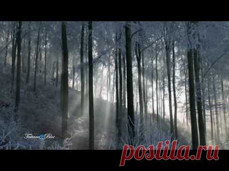 ▶ André Rieu - When Winter Comes...