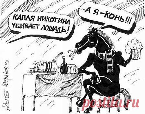 Капля никотина убивает лошадь - это заголовок новой публикации юмориста Александра Крутоуса да больше десятка веселых картинок, мотиваторов, демотиваторо
