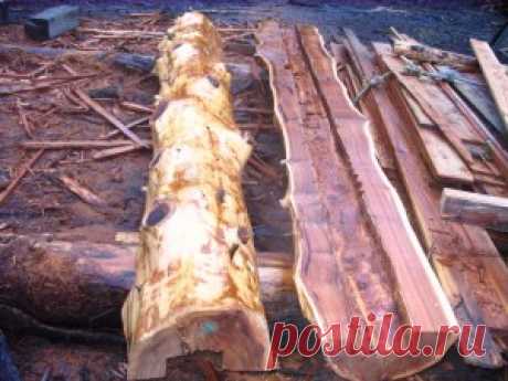 Other Products | Wood Wise Mill