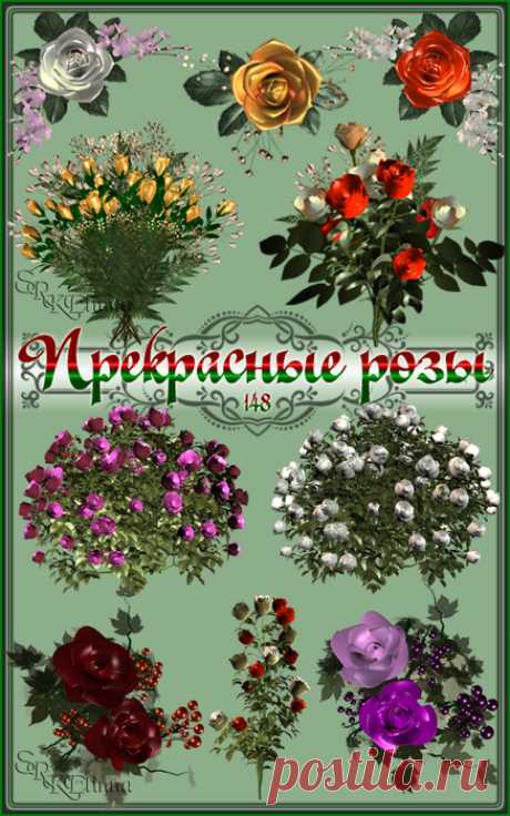 Прекрасные розы