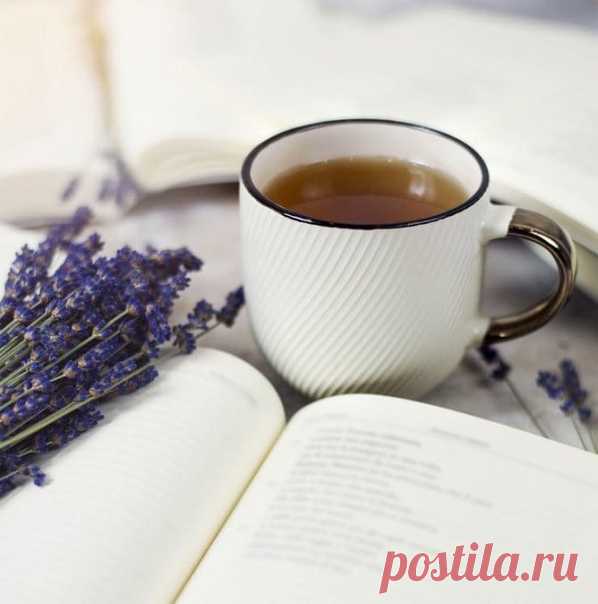 Доброе утро!

Пусть суббота будет прекрасной, доброй и спокойной!

С любовью, Жанна