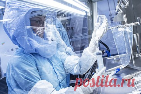 В Pfizer признали факт исследований «направленной эволюции» ради прибыли. В американской фармацевтической корпорации Pfizer признали факт исследований «направленной эволюции» ради повышения прибыли. Об этом заявил начальник войск радиационной, химической и биологической защиты (РХБЗ) ВС РФ Игорь Кириллов в ходе брифинга, касающегося военно-биологической деятельности США.