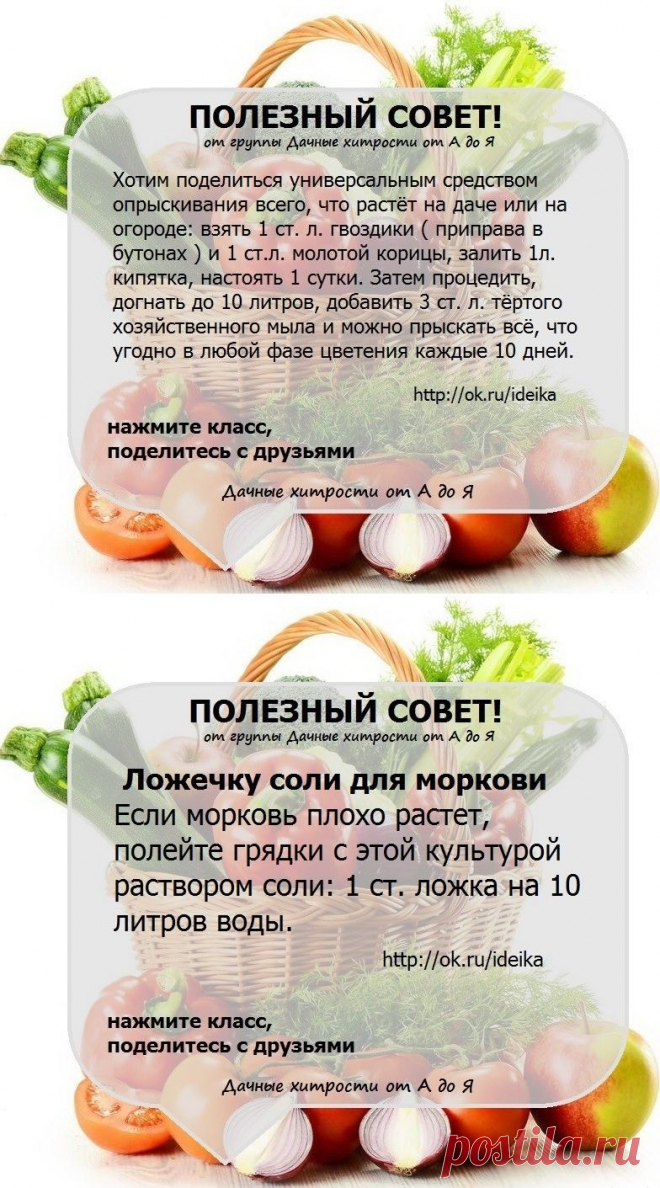 (47) Одноклассники    СОВЕТЫ ОГОРОДНИКАМ! Присоединяйся прямо сейчас http://ok.ru/ideika