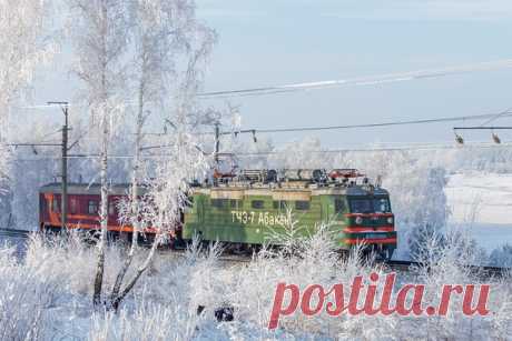 Фото дня на «Фото.Сайте»
«Зимняя.» (Сергей К.)

Другие работы автора: www.photosight.ru/users/299483/