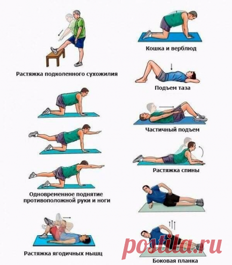 Избавляемся от боли в нижней части спины: 8 простых упражнений