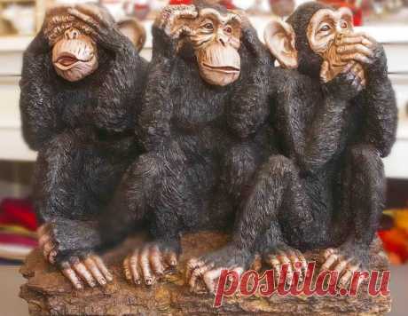 Что на самом деле хотят сказать три мудрые обезьяны &amp;raquo; Женский Мир