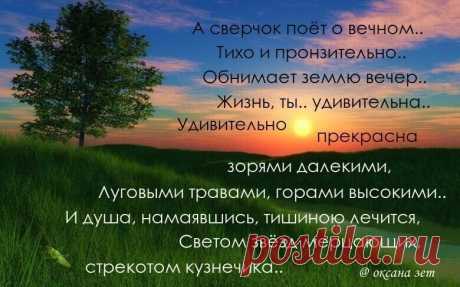 i (780×487)