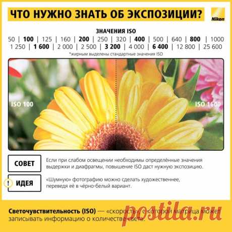 Как научиться фотографировать: пошаговая инструкция от Nikon • НОВОСТИ В ФОТОГРАФИЯХ