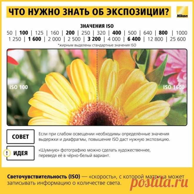 Как научиться фотографировать: пошаговая инструкция от Nikon • НОВОСТИ В ФОТОГРАФИЯХ