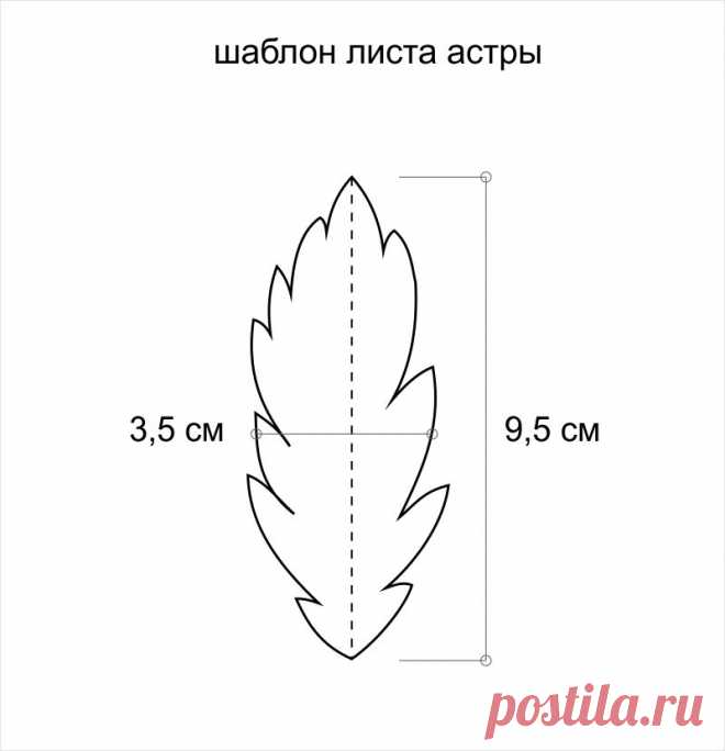 Мастер-класс Астра из фоамирана