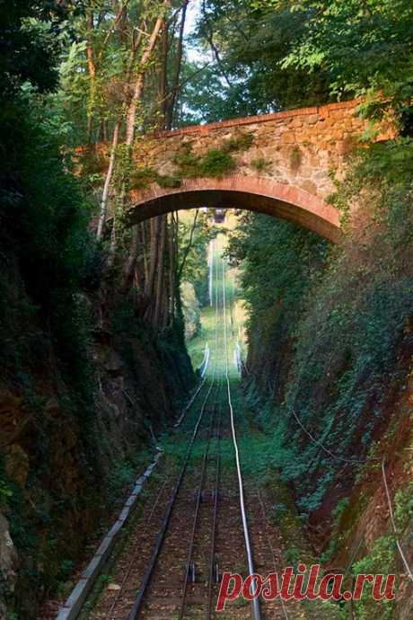Come Walk With Me