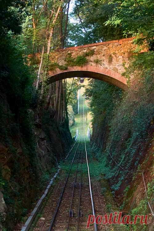 Come Walk With Me