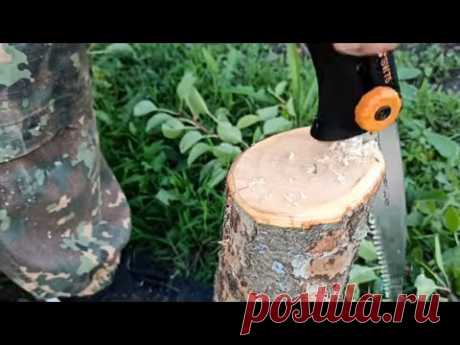 Grafting pears with a garden saw / Прививка груши с использованием садовой пилы