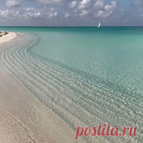 Qué calma, qué belleza...

Qué soledad