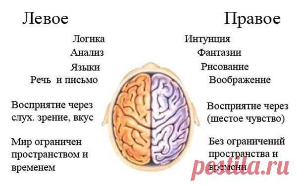 Тренировать нужно не только тело. Упражнение ума для развития мозга.