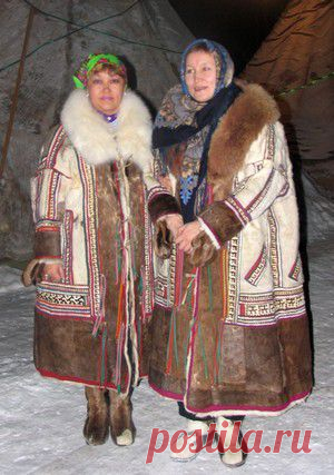 Земля кошачьего локотка