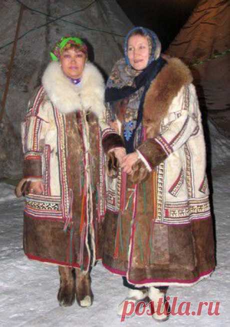 Земля кошачьего локотка