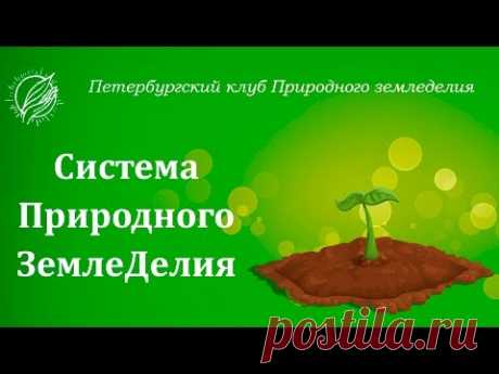 Система Природного земледелия (короткая версия) - YouTube
