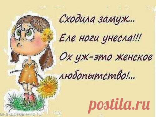 Смешные картинки про женщин