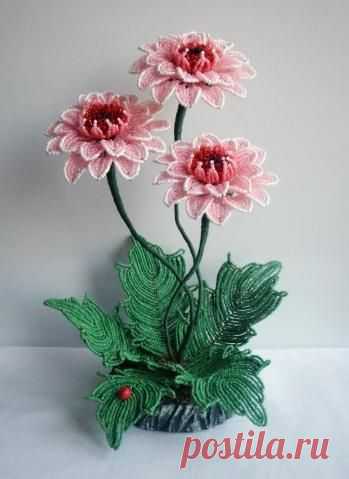 (64) Герберы | Beaded flowers