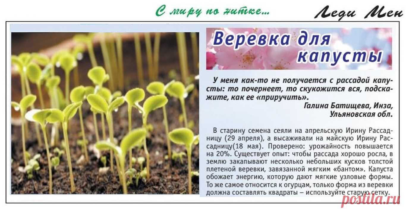 Веревка для капусты, сетка для огурцов