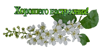(1) Мой Мир@Mail.Ru