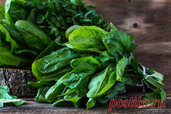 Шпинат и шпинатные растения: рецепты необычных блюд