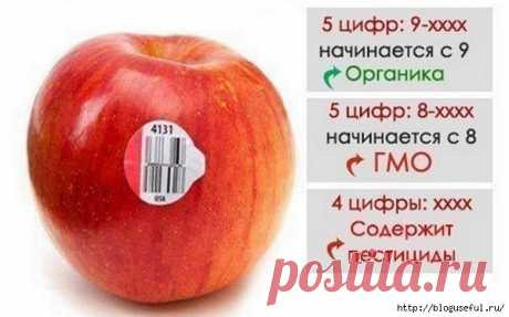 О чем говорит маркировка на фруктах