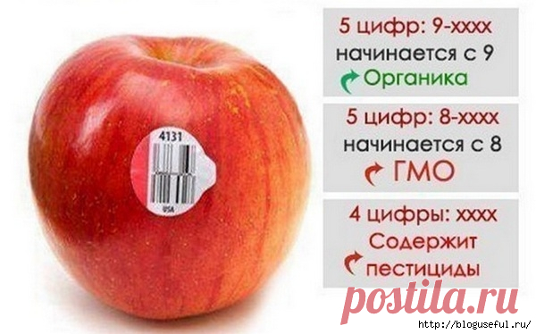 О чем говорит маркировка на фруктах