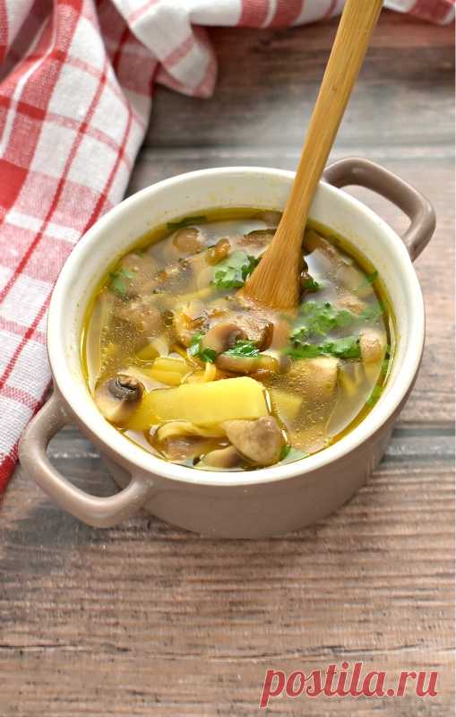 Суп куриный с лапшой и грибами рецепт с фото пошагово - PhotoRecept.ru