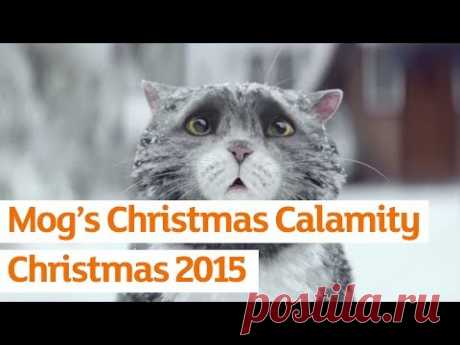 Sainsbury’s OFFICIAL Christmas Advert 2015 – Mog’s Christmas Calamity