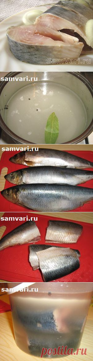 Вкусная сельдь в домашних условиях