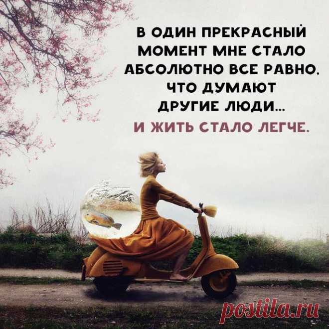 | Фитнес для мозга | Постила