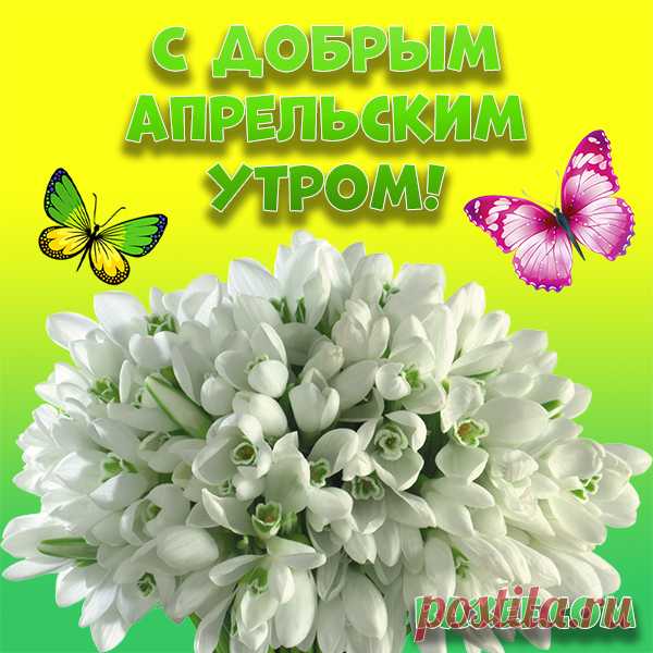 Картинки с добрым апрельским утром! Красивая картинка! Доброе апрельское утро... | Страница 2