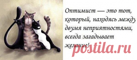 ОПТИМИСТ - это...