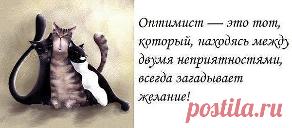ОПТИМИСТ - это...