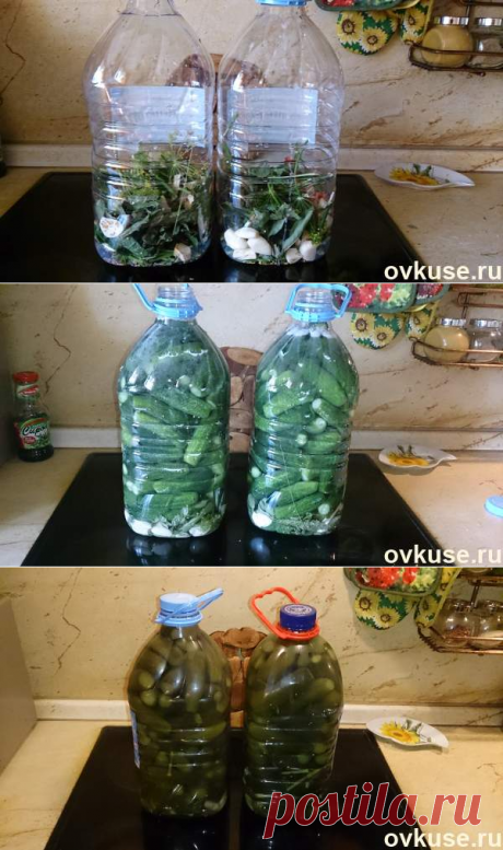 Соленые огурцы (как из бочки) в пластиковой бутылке - Простые рецепты Овкусе.ру