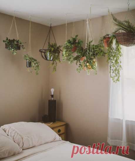 Hanging Garden | Ideias